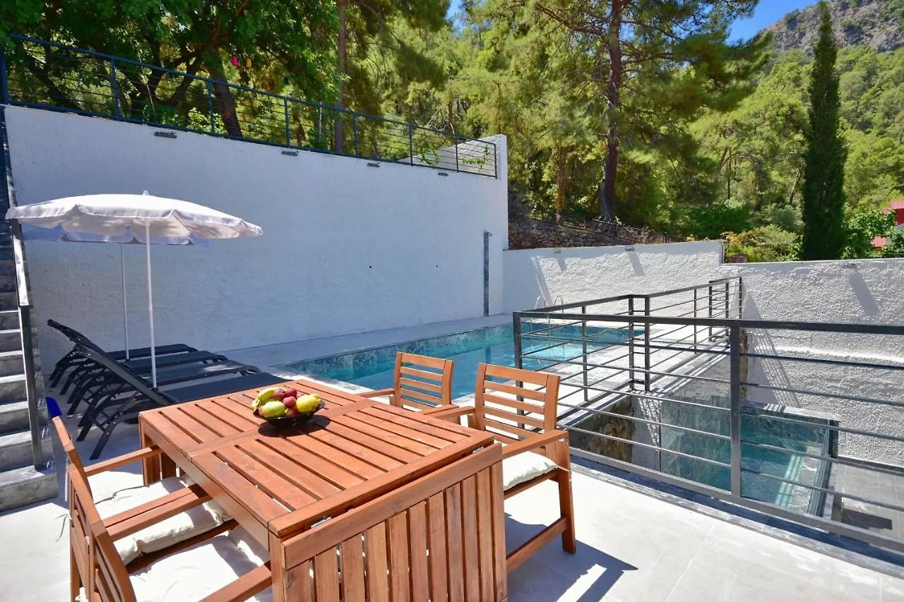 Villa Citrus Fethiye