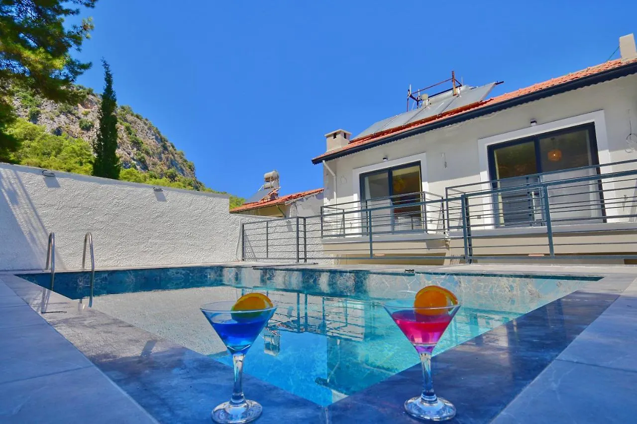 Villa Citrus Фетхие