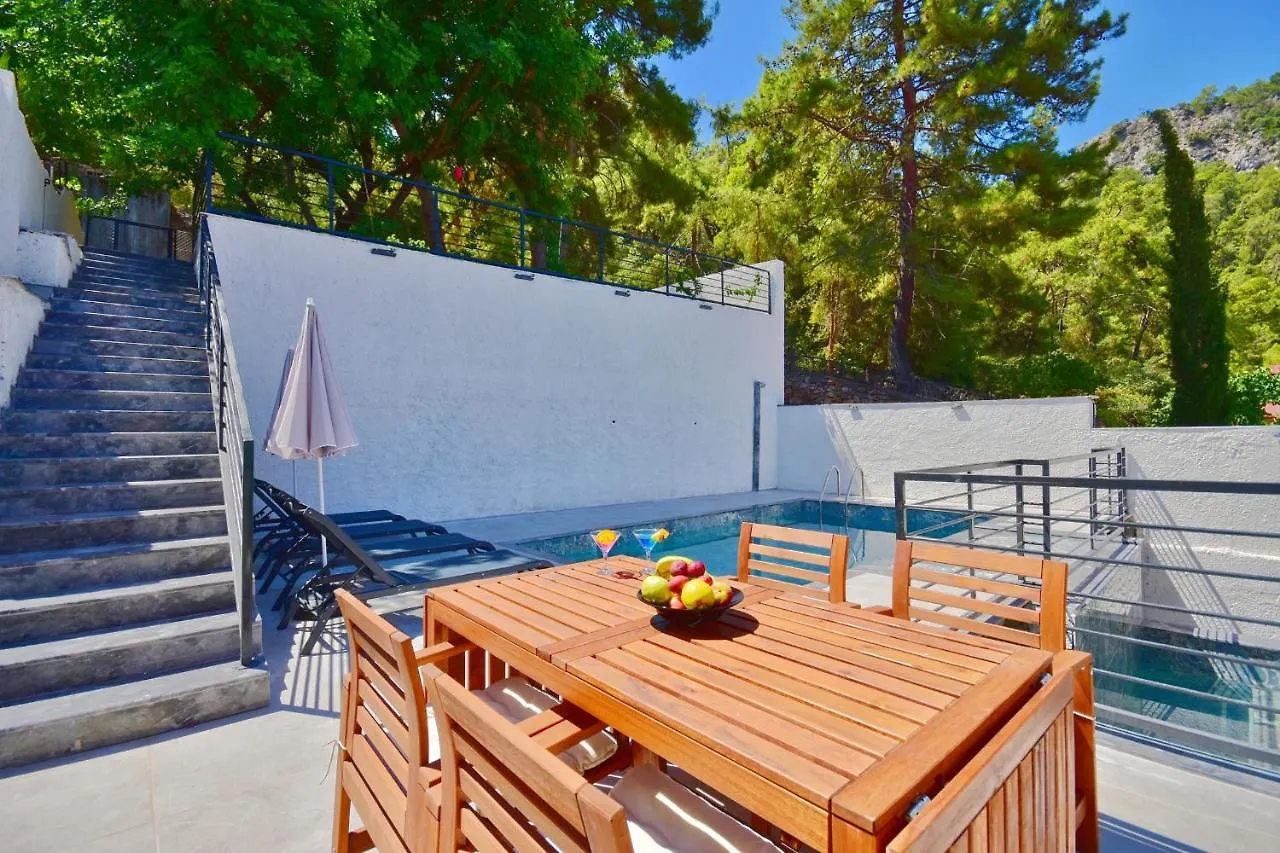 Villa Citrus Фетхие