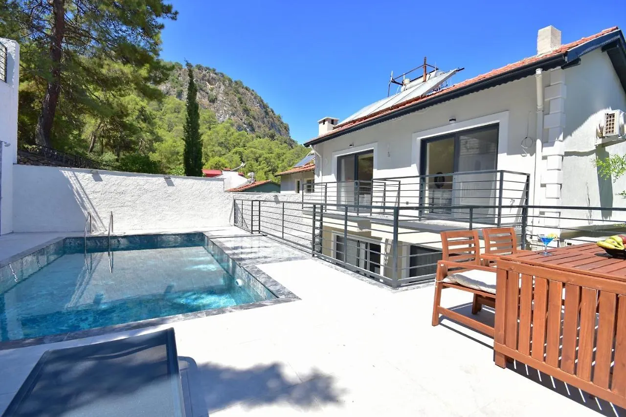 Villa Citrus Фетхие