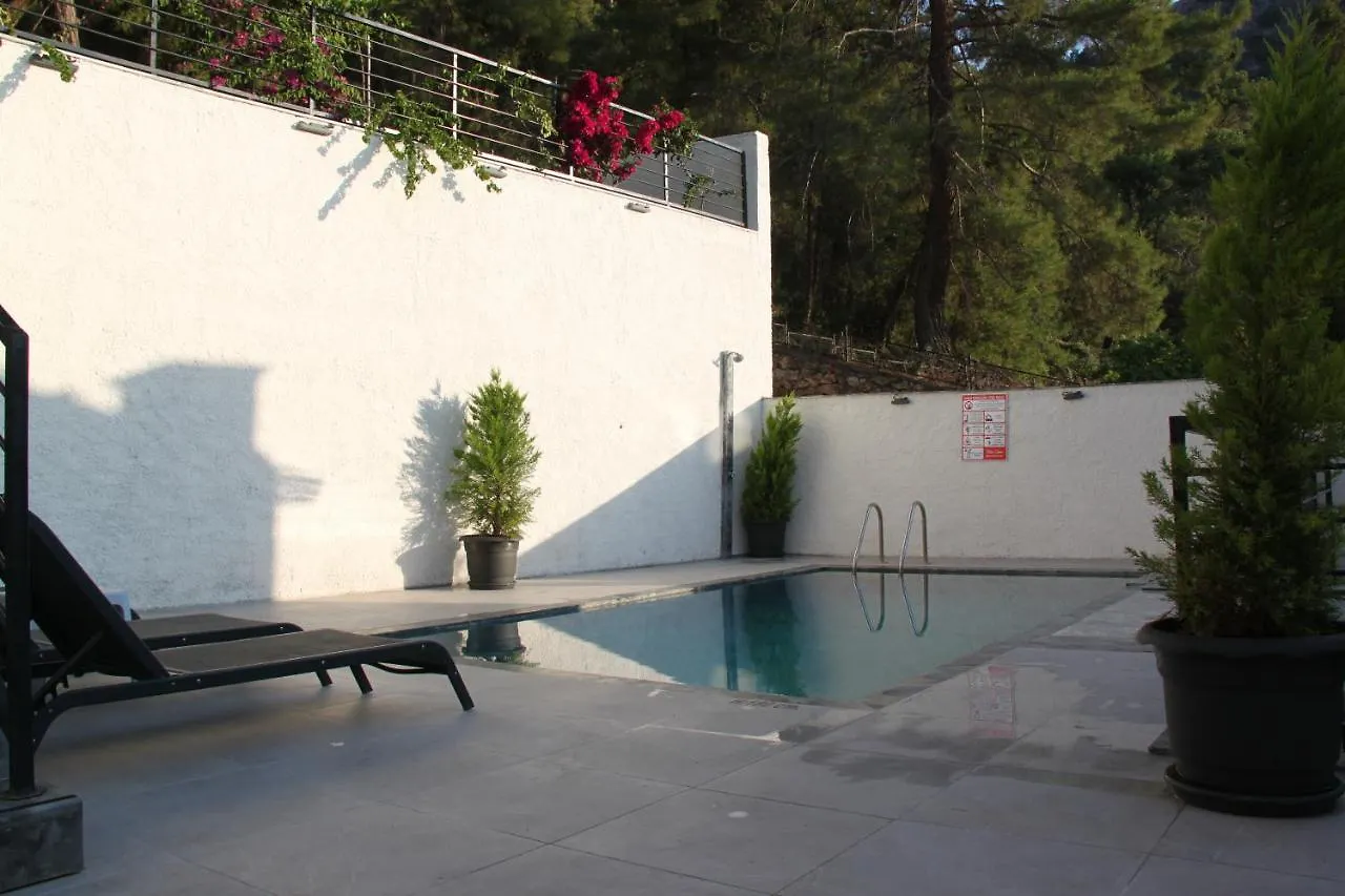 Villa Citrus Фетхие